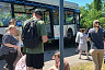 В Саратове автобус с пассажирами протаранил дерево